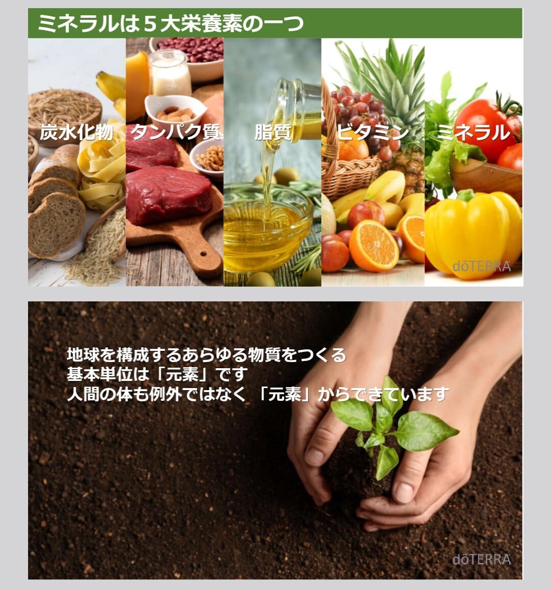 doTERRA PHOSSIL ミネラル カシス+オイル 125LRP セット ドテラ doTERRA PHOSSIL ミネラル カシス+オイル 125LRP セット ドテラ