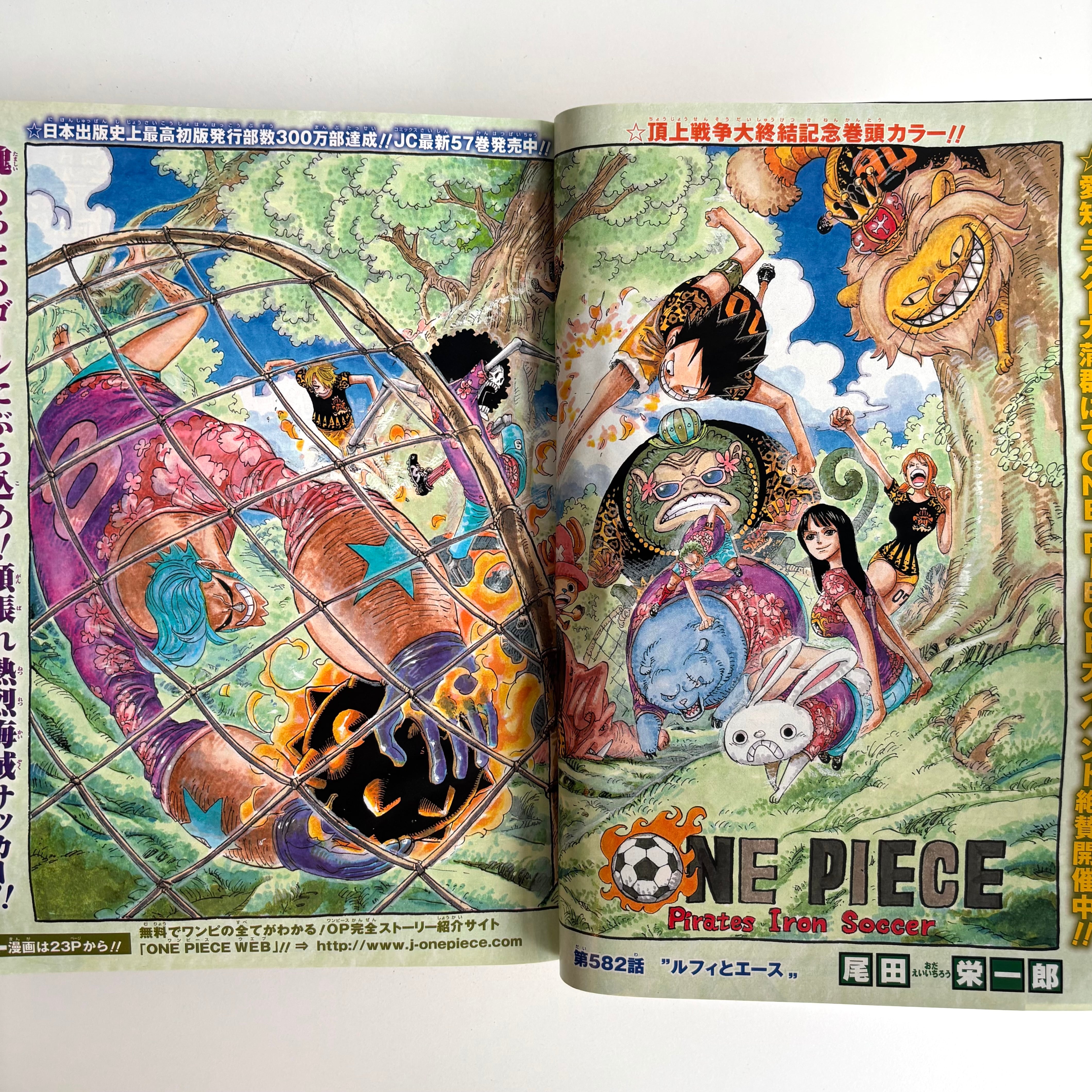 週刊少年ジャンプ 2010年 21・22号 集英社 ONEPIECE 巻頭カラー | 古書