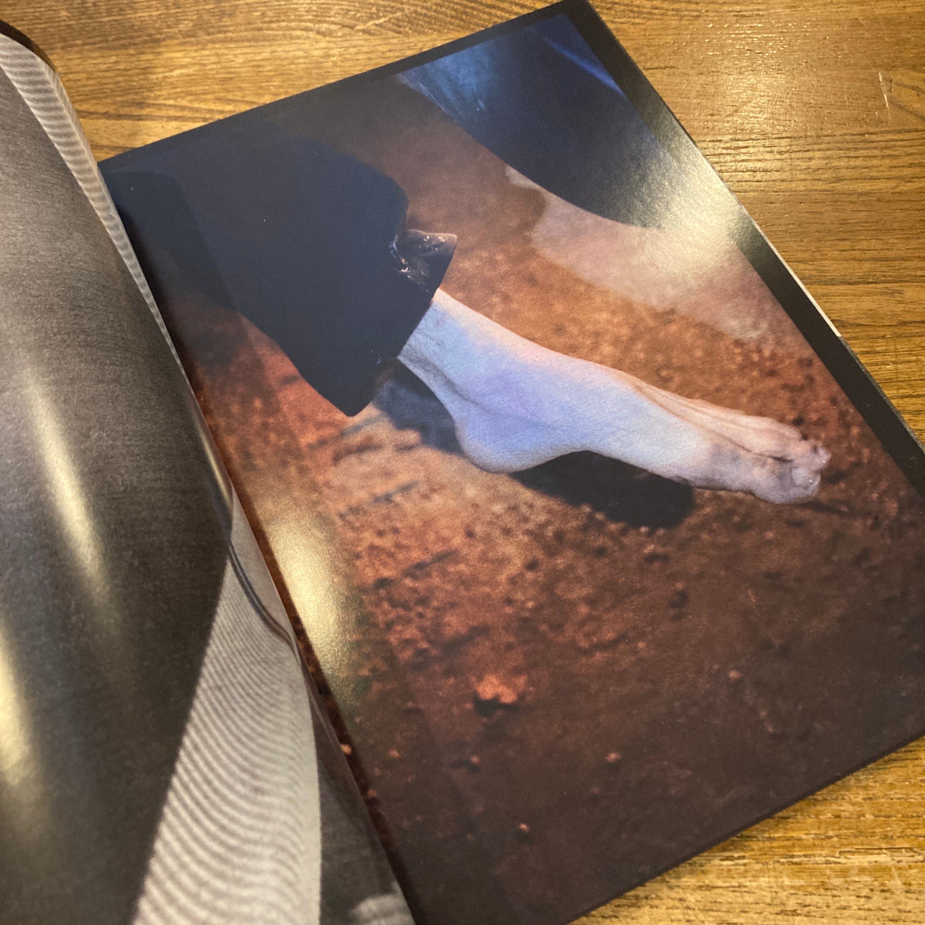 100 Bilder / 横田大輔 Daisuke Yokota、ヨシ・カメタニ Yoshi