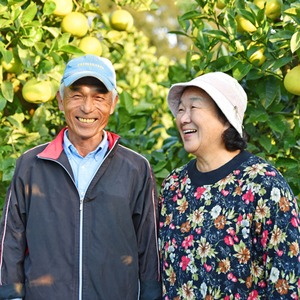 浜田巧さんのこだわり土佐文旦〔家庭用〕5kg