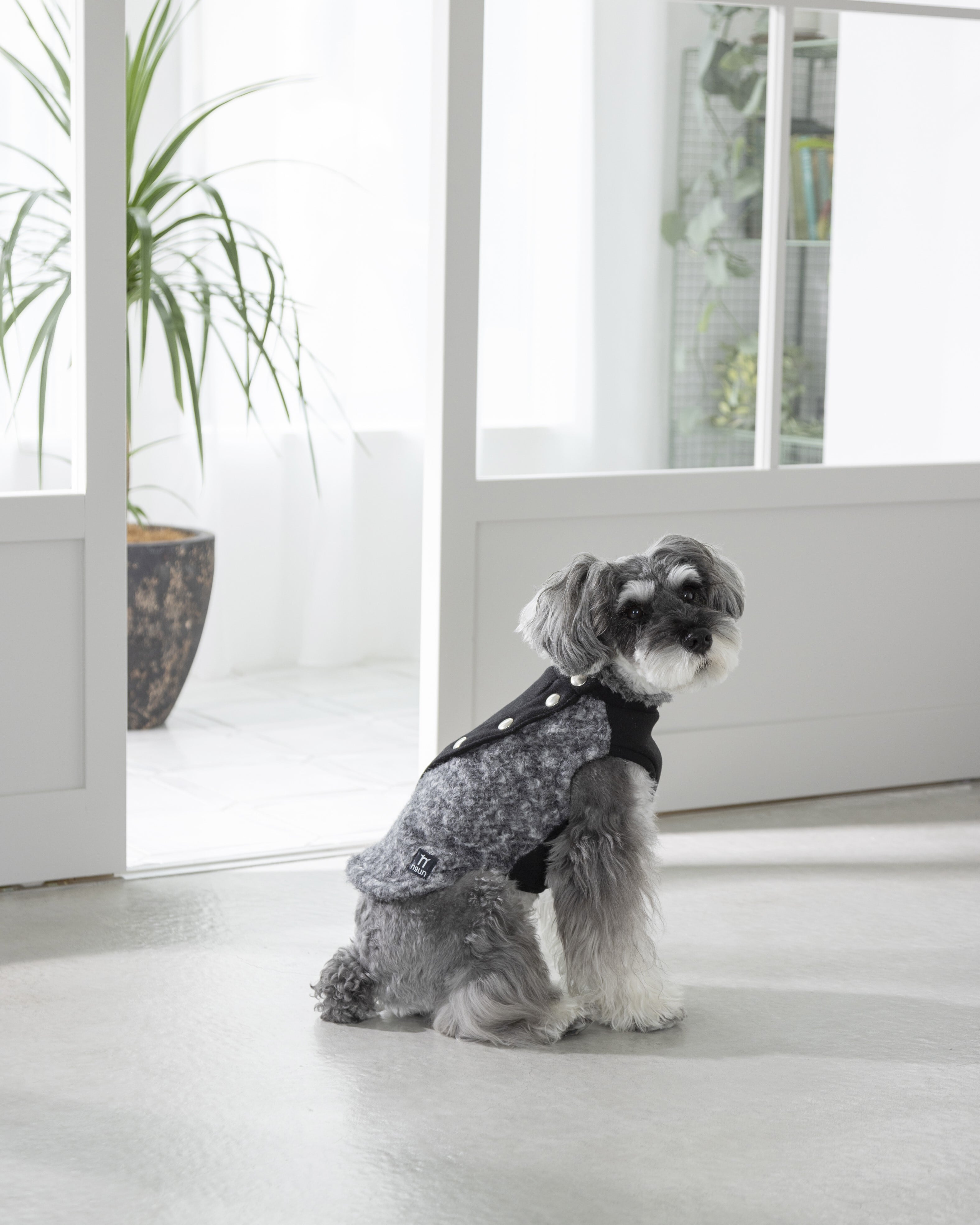 ウールライク・ジャケット〈BLACK〉 | n9un