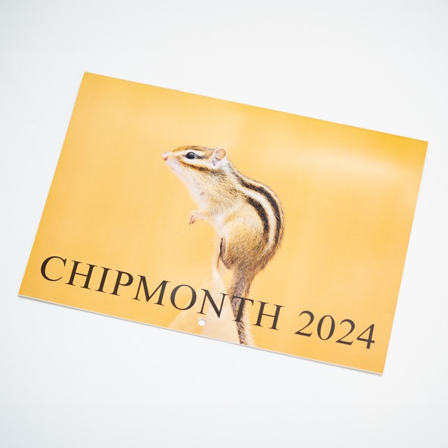 2024年シマリスカレンダー【壁掛け】◆CHIPMONTH 2024◆/CA-CM-2024B