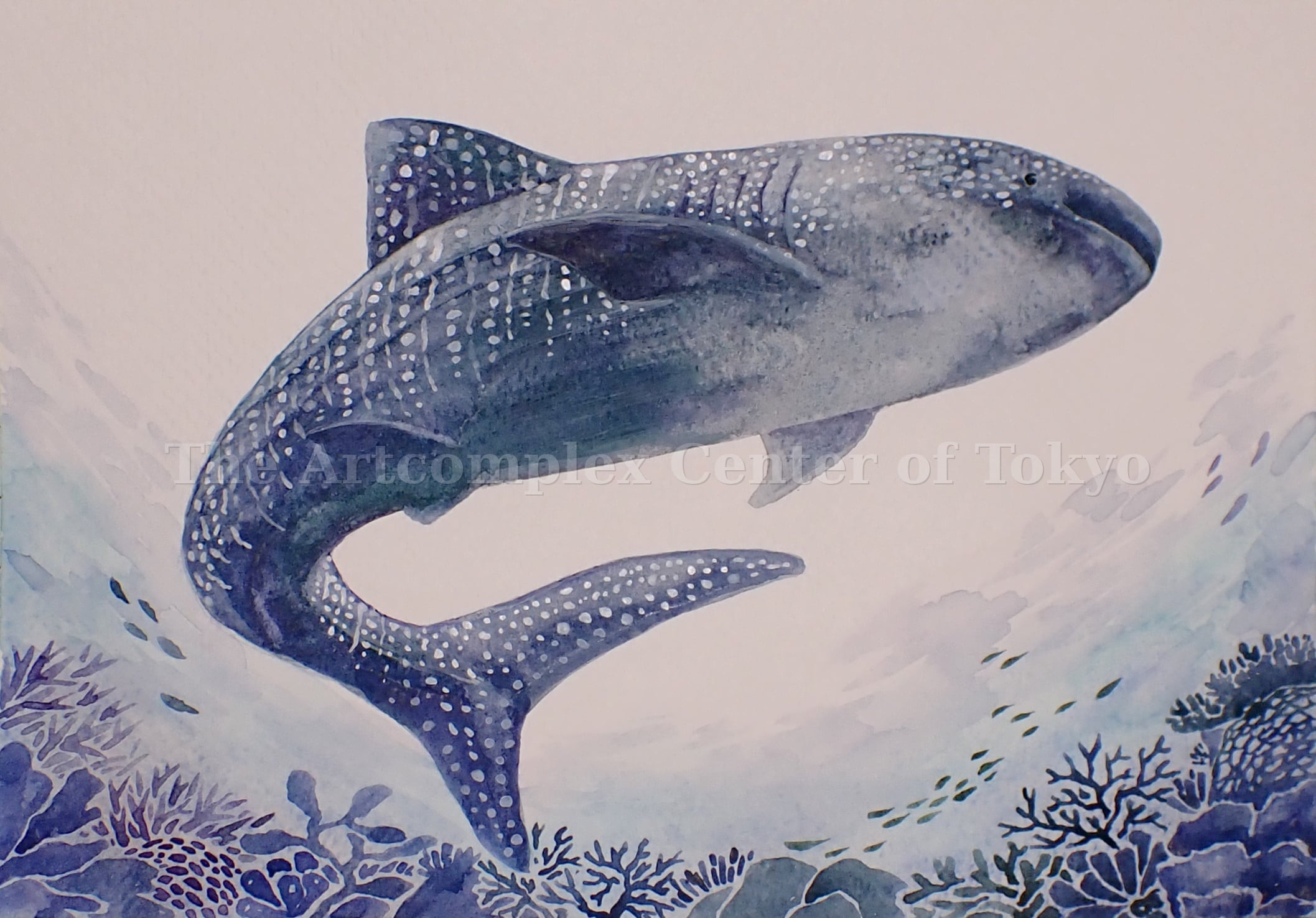 A-46/24】抽象画 動物画 金魚アクリル画 原画 絵画 現代アート