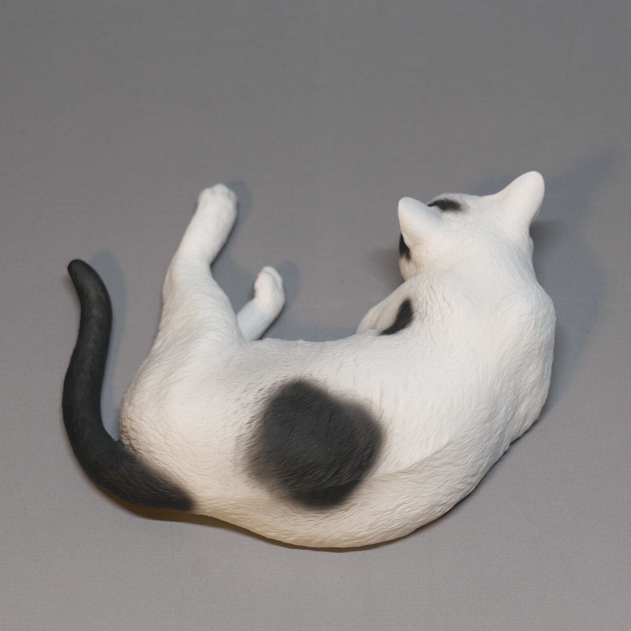 猫その27 黒ブチE | 森口修の猫 