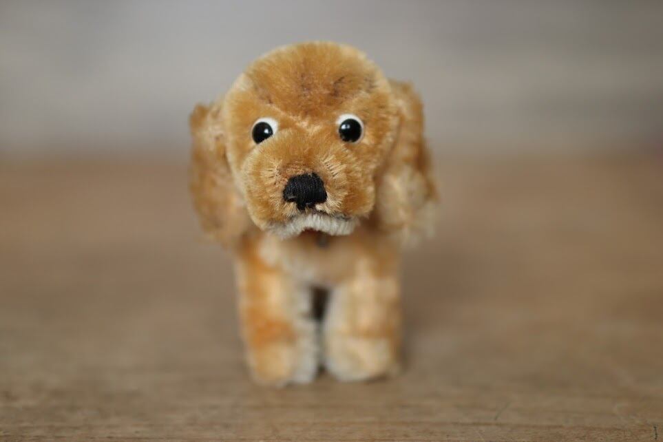 アンティーク シュタイフ 犬 コッカースパニエル Revue Susi ぷちアンティーク