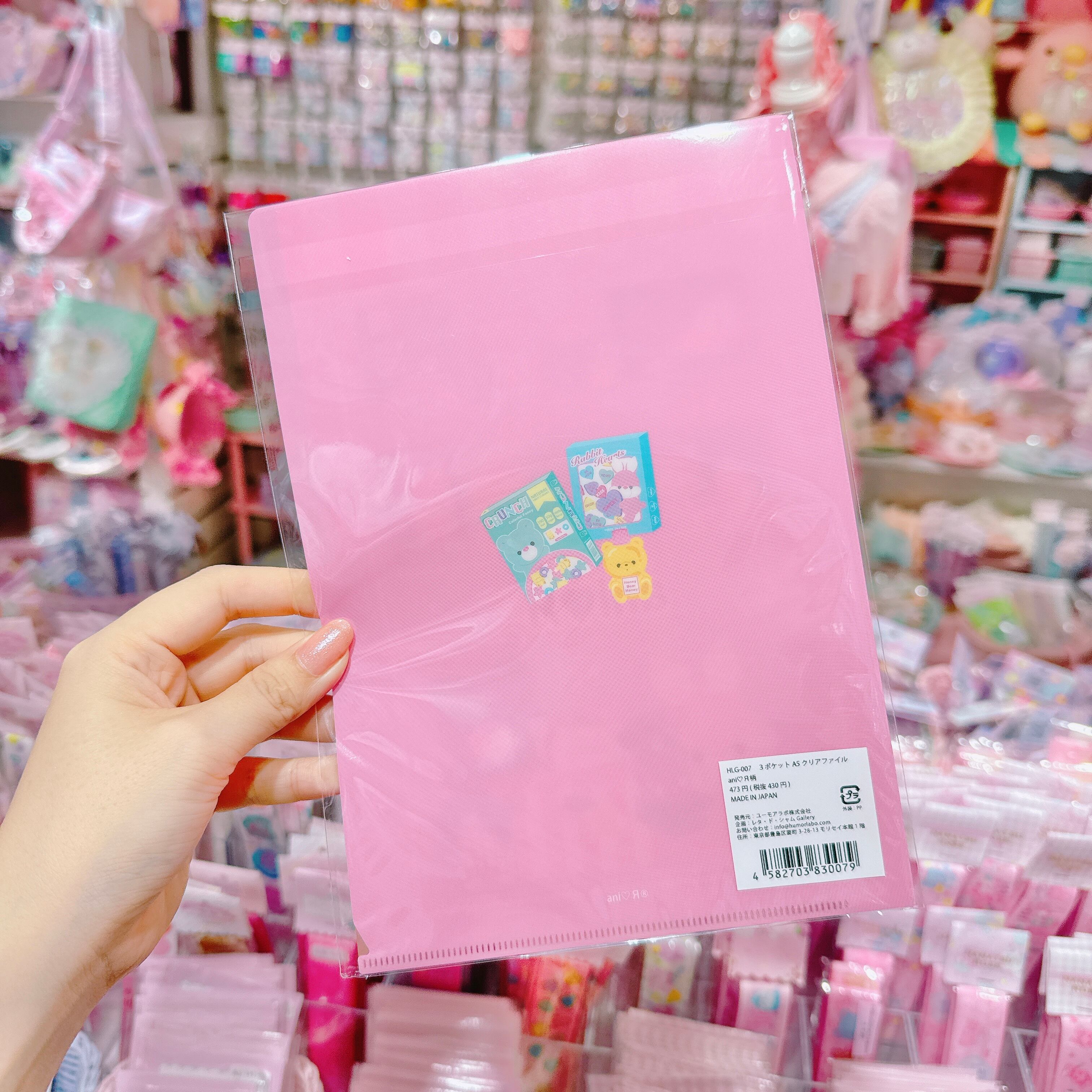 【A2】101-1 A5クリアファイル