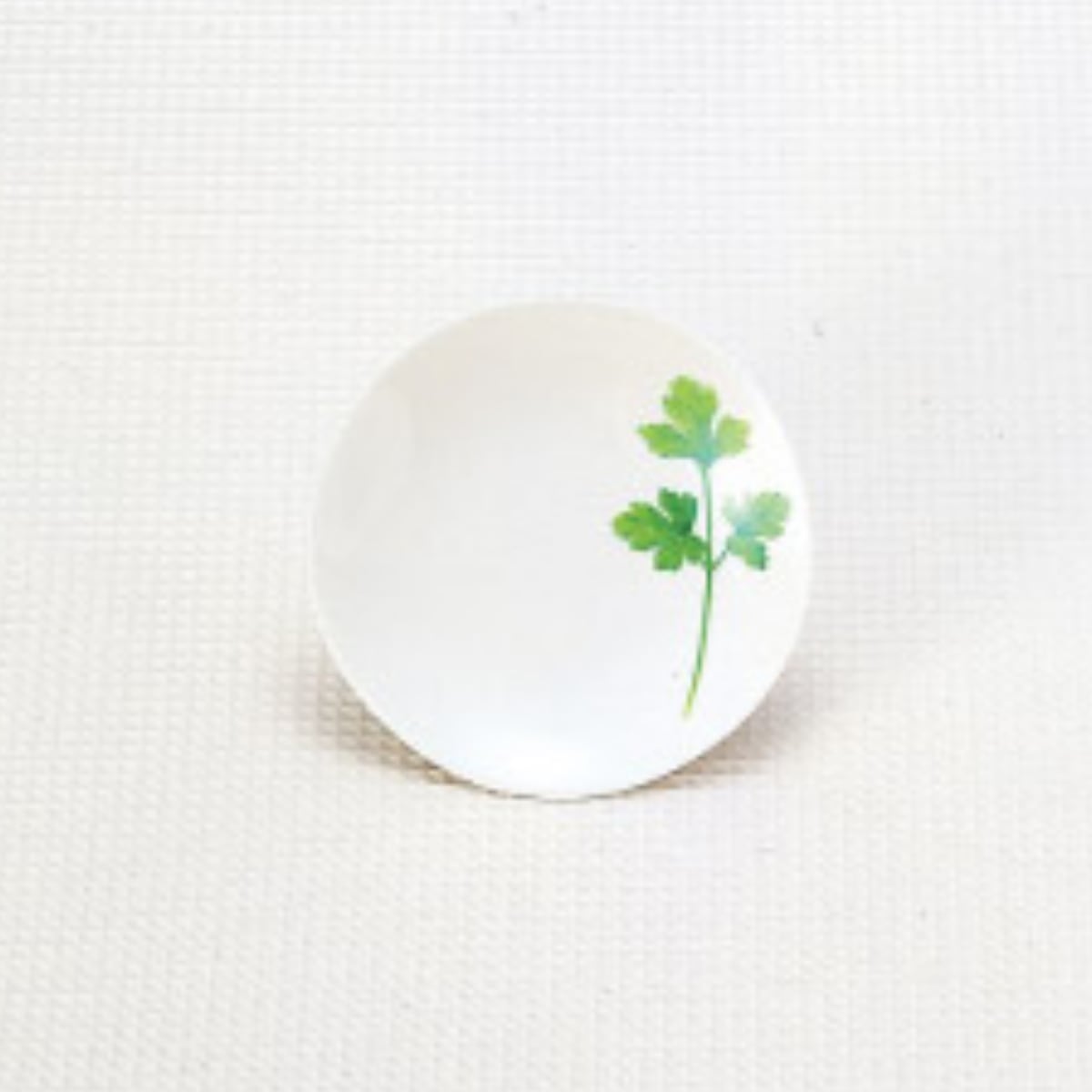 井上絵美】【エミーズ】16ﾌﾟﾚｰﾄ【パセリ】AM20-3-T43 | yamaka