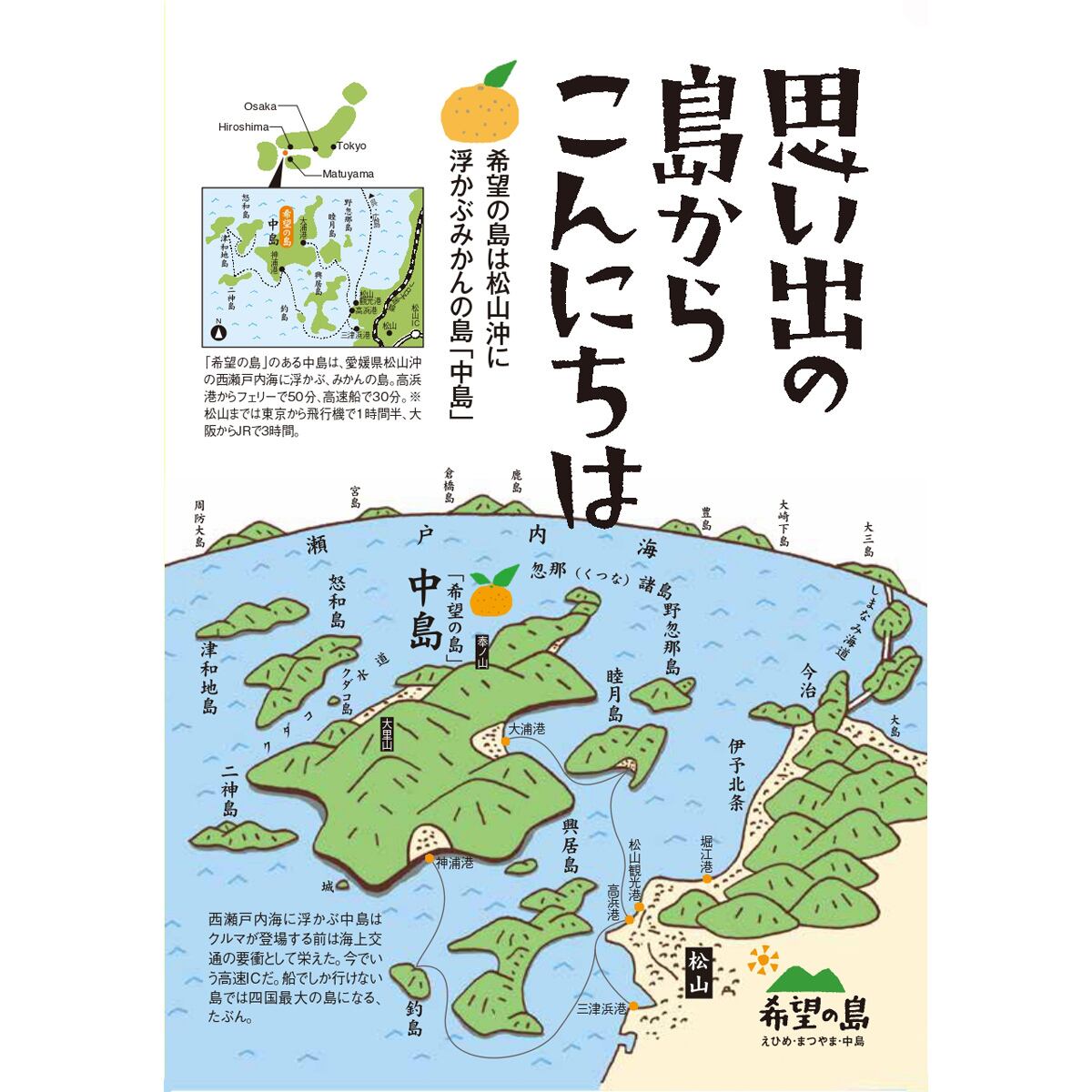 希望の島　防腐剤未使用　国産ライム　中島産　希望の島　2kg　ノーワックス　国産】　みかんの楽園　家庭用　サイズ込　【希望の島　残留農薬ゼロ　愛媛　タヒチライム