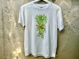 botanical art t-shirt  coronarium