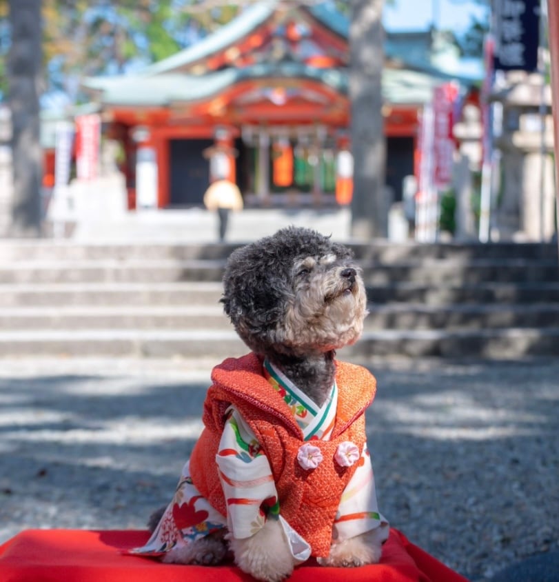 被布 | inun-kimono