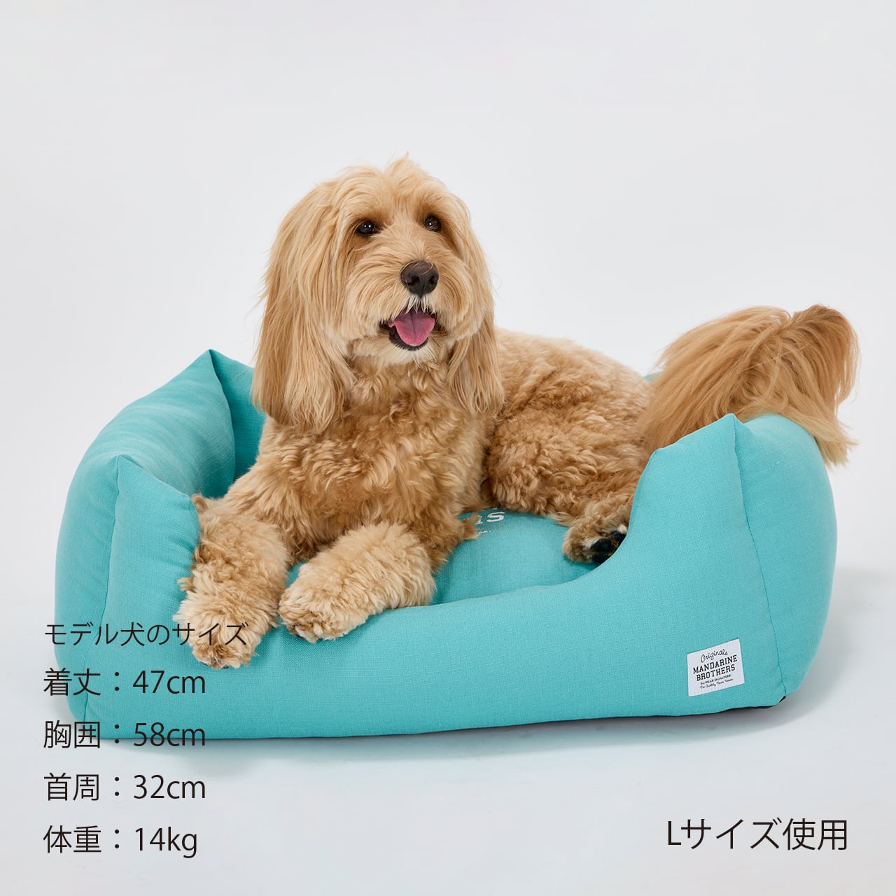 みさのモリリン様 ※専用※ Lサイズ4kg CUDDLER（L） カドラー | MANDARINE BROTHERS マンダリンブラザーズ
