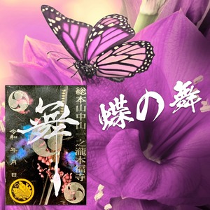 《和柄御朱印シリーズ》亀甲模様/蝶模様《特別限定デザイン2枚セット》