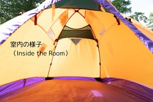 ビンテージテント Mountain hardwear Expedition wedge