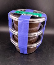 【WF1】《コンフキウスノコギリ 幼虫3頭セット》Moro氏委託個体