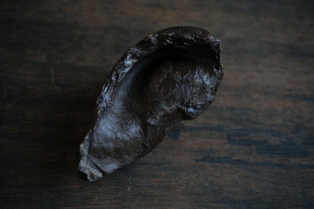 古代クジラ耳骨 Whale Otolith 1766