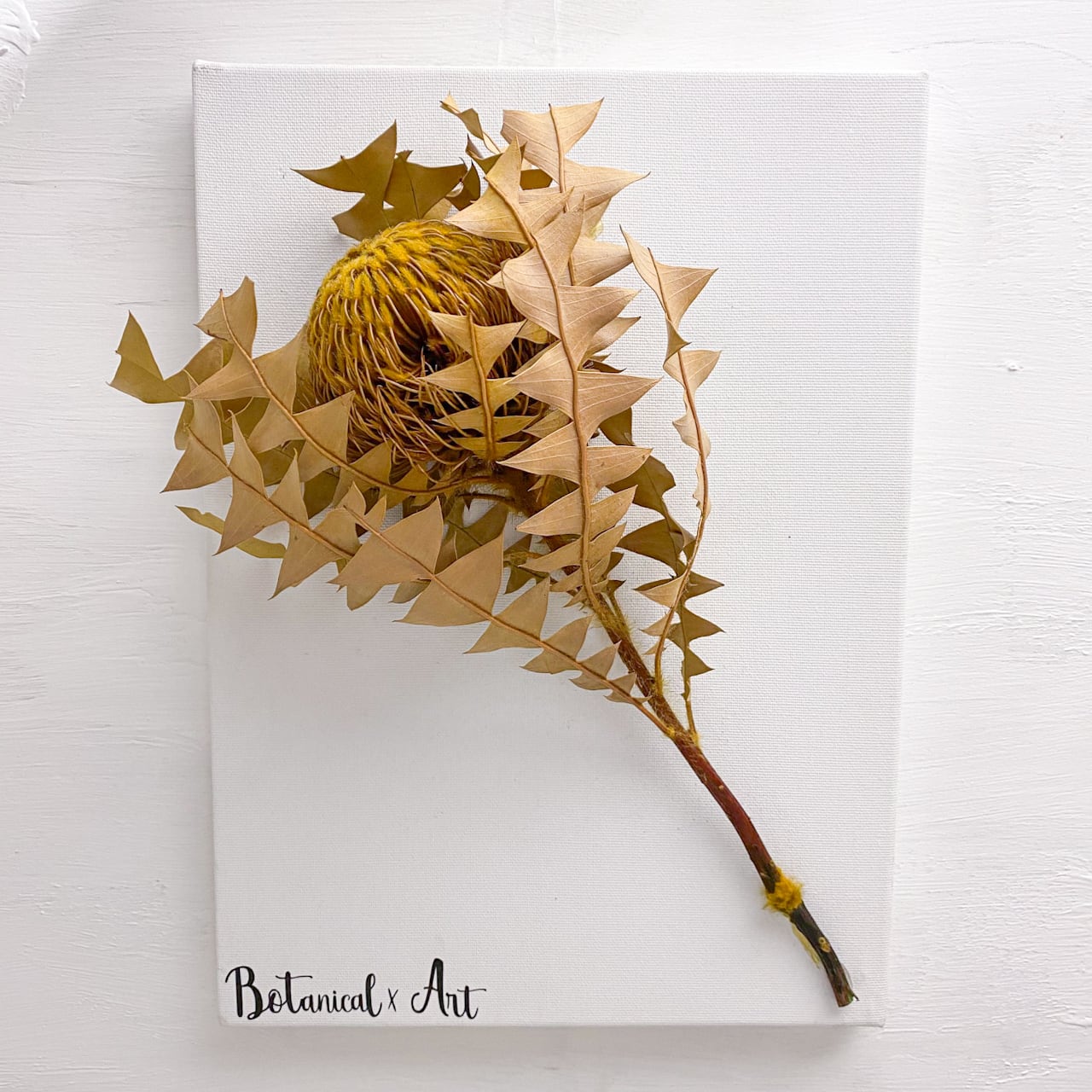 大ぶりのドライフラワーを大胆にあしらったボタニカルアートボード