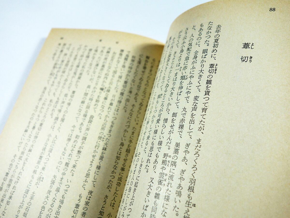 北溟（内田百閒 著）- 旺文社文庫 全作品集 | bookstore ナルダ