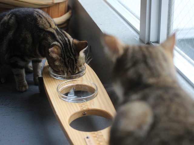 【受注生産】Pet bowls stand