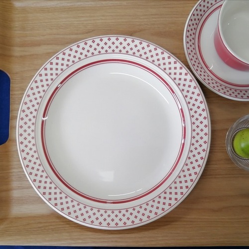 プロビンスブライト(赤)　ミート皿　丸皿23cm　カントリーサイド　カフェ食器　ワンプレート　かわいいお皿　業務用食器
