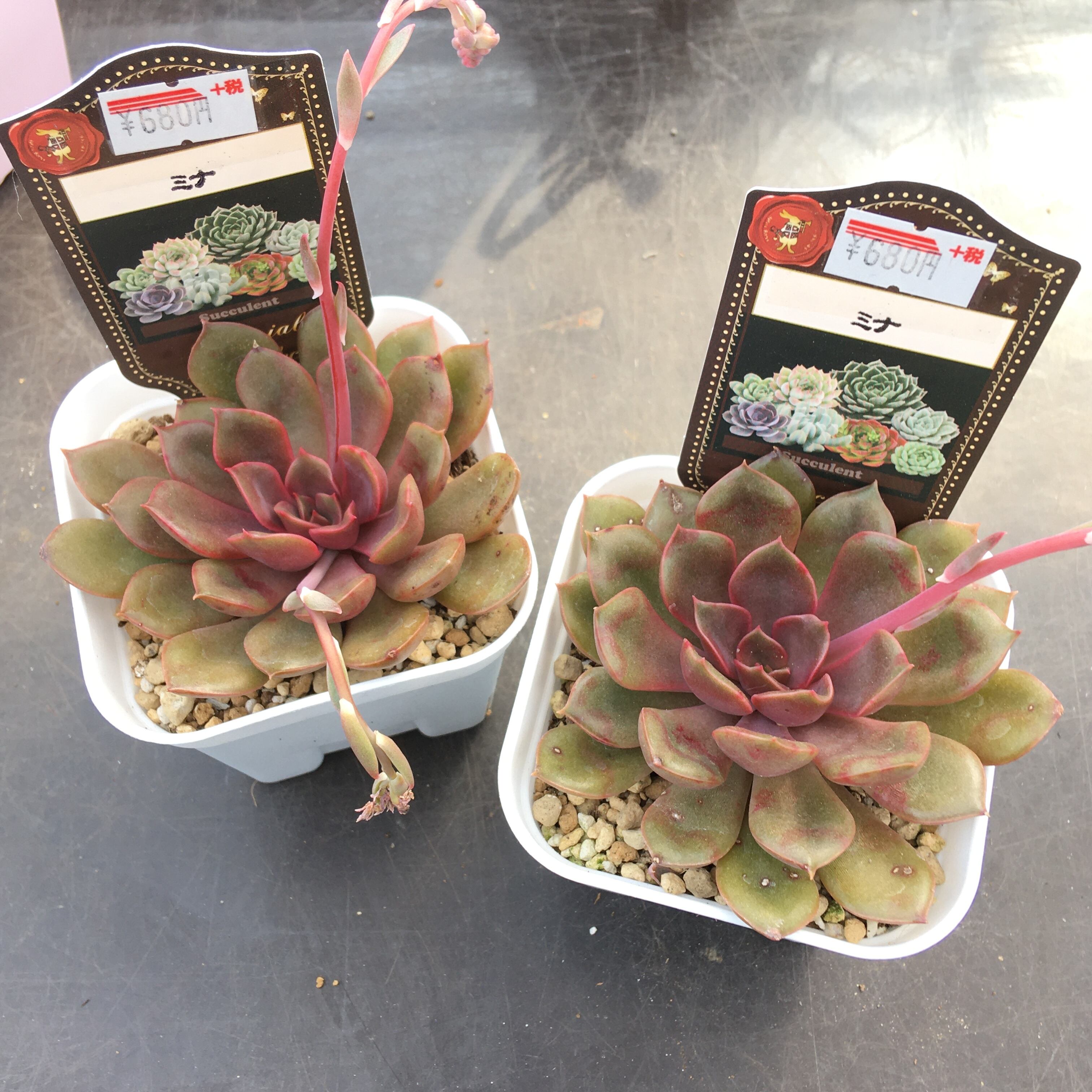 d456388e5d038be615b6251ced1426