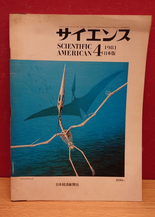 サイエンス　（サイエンティフィック・アメリカン日本版）1981年4月号