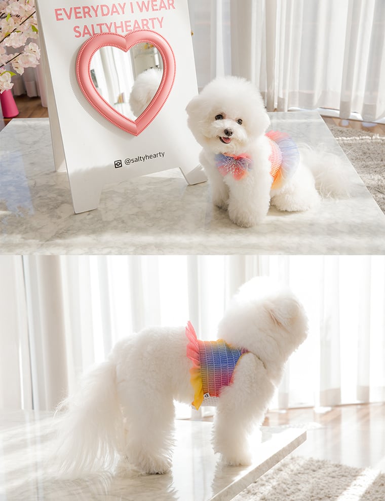 ハロークロップドトップス S ~ XL 2color  /  犬の服 犬服 新作 ショート丈 クロップド丈 涼しい 小型犬 中型犬 ペット洋服 ドッグウェア ペット用品