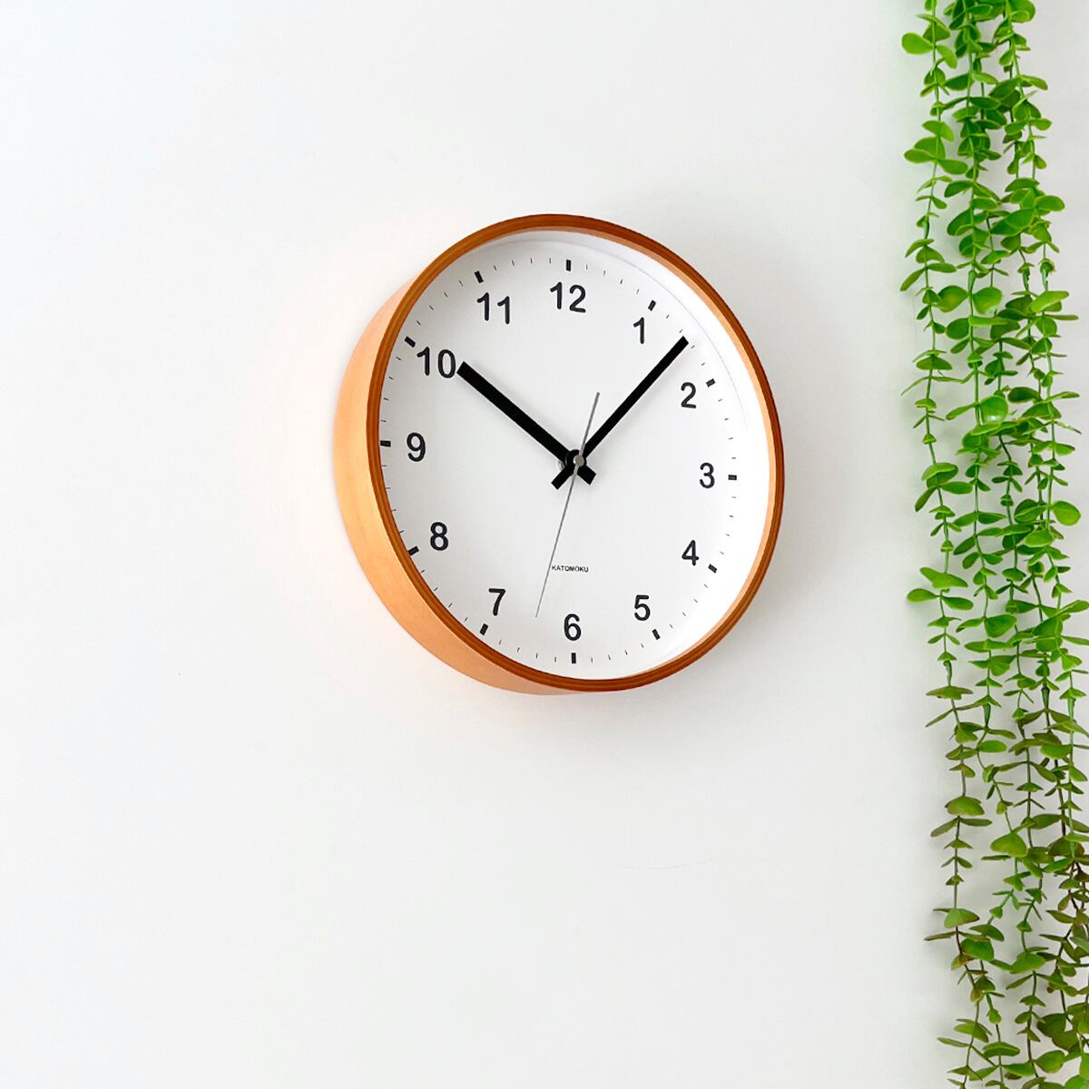 ねむの木掛け時計 Amazon.co.jp: リズム(RHYTHM) シチズン 掛け時計 電波時計