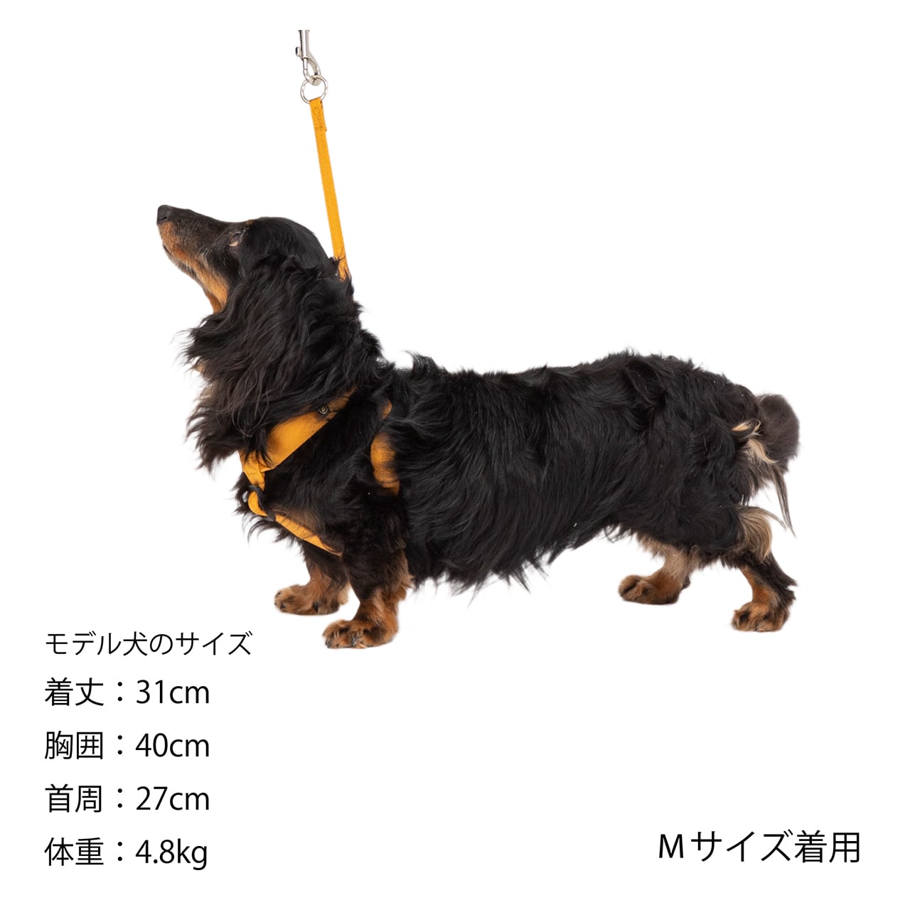 CLASSIC HARNESS Lサイズ クラシックハーネス Lサイズ | MANDARINE