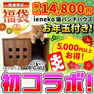 【訳アリ商品（組み立て品）】１台のみ,ダークブラウン,お年玉プレゼント付き！【ienekoコラボ福袋(初コラボ)】猫パンチハウス！柔らかクッション付き,合計20,000円以上相当の猫グッズ！人気おやつ,ウェットフード