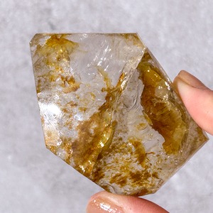 ゴールデンヒーラー スライス