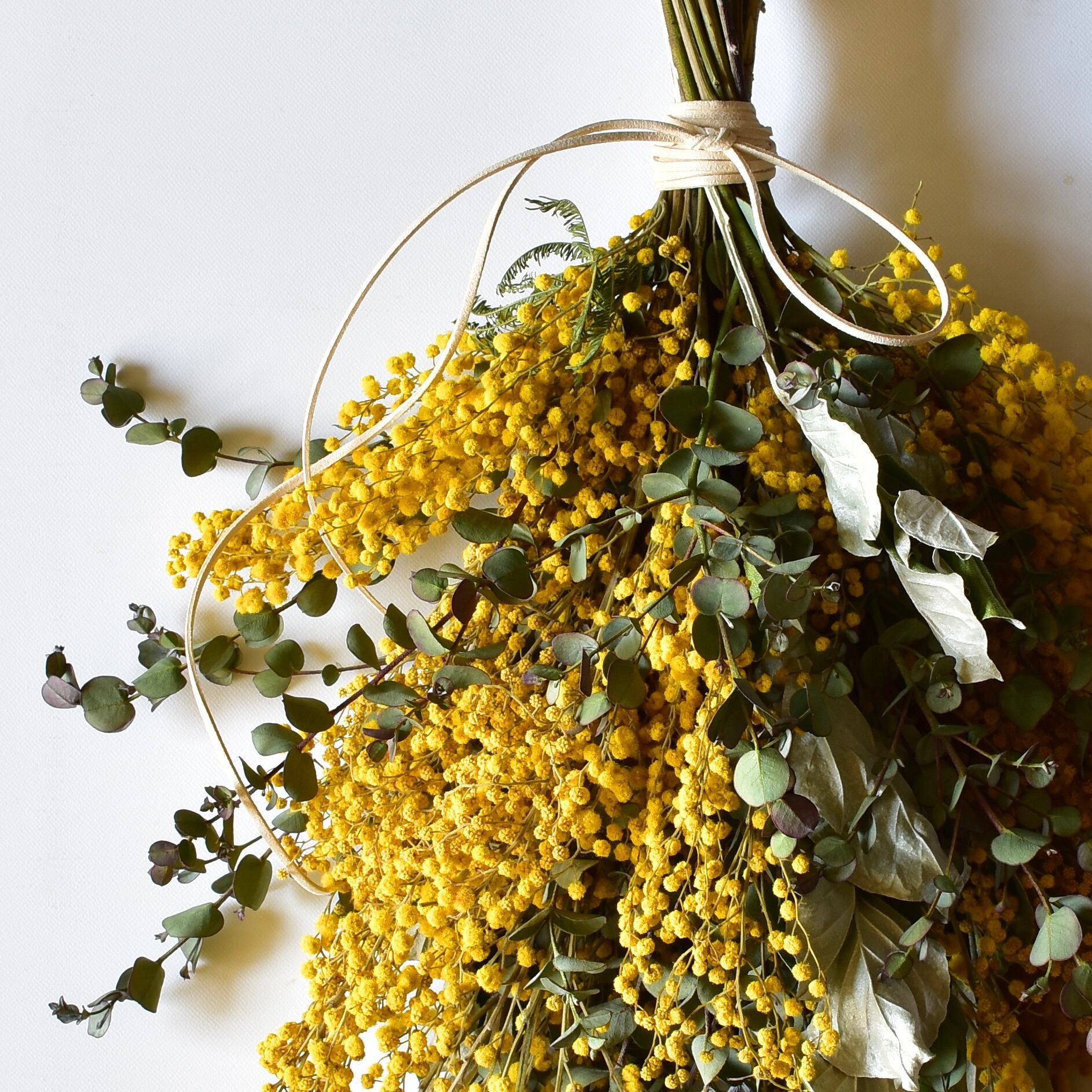 ファッション ミモザとテトラゴナ ユーカリのハーフドライロングスワッグ I 2 ドライフラワー Www Oroagri Eu