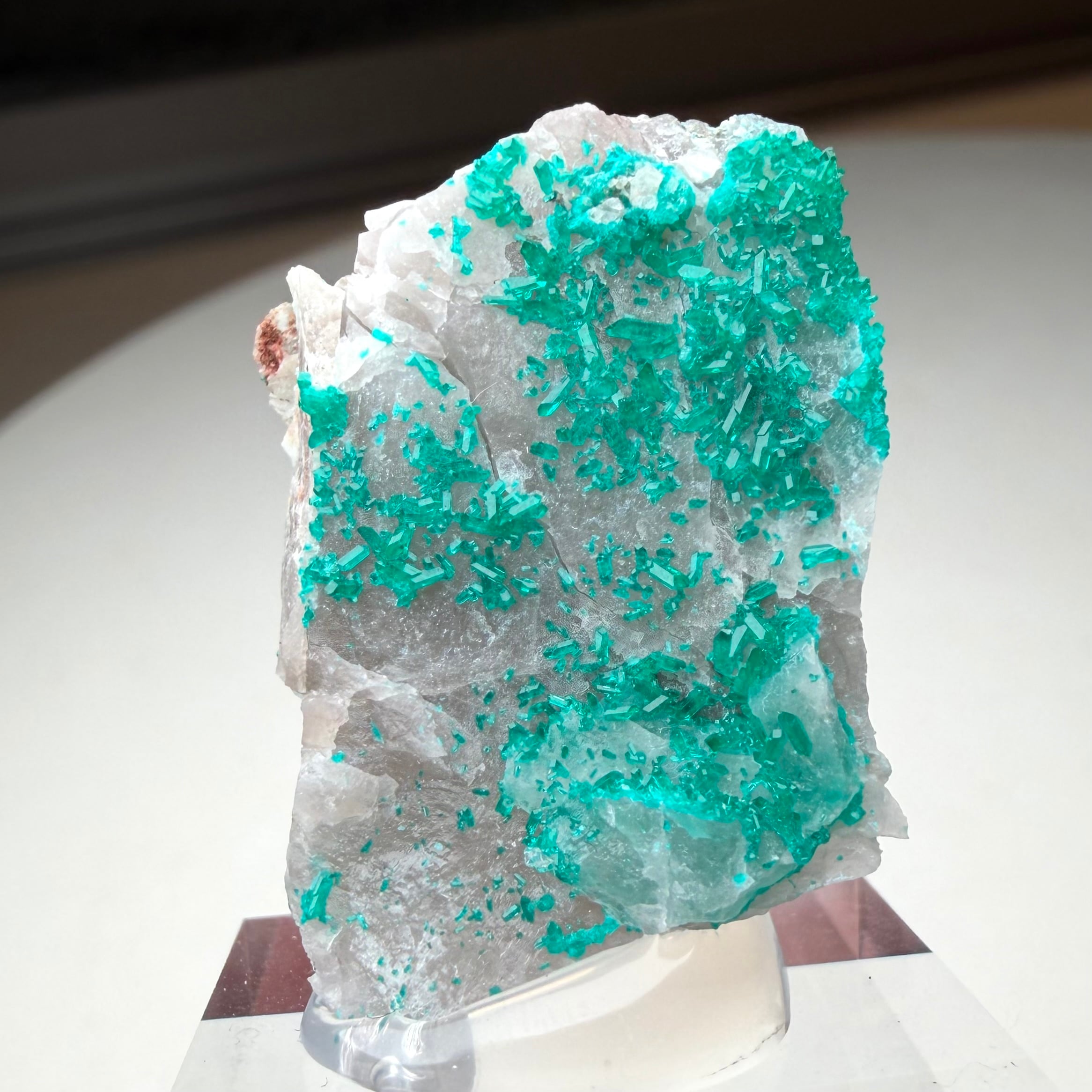 ダイオプテーズ / カルサイト【Dioptase on Calcite】ナミビア産