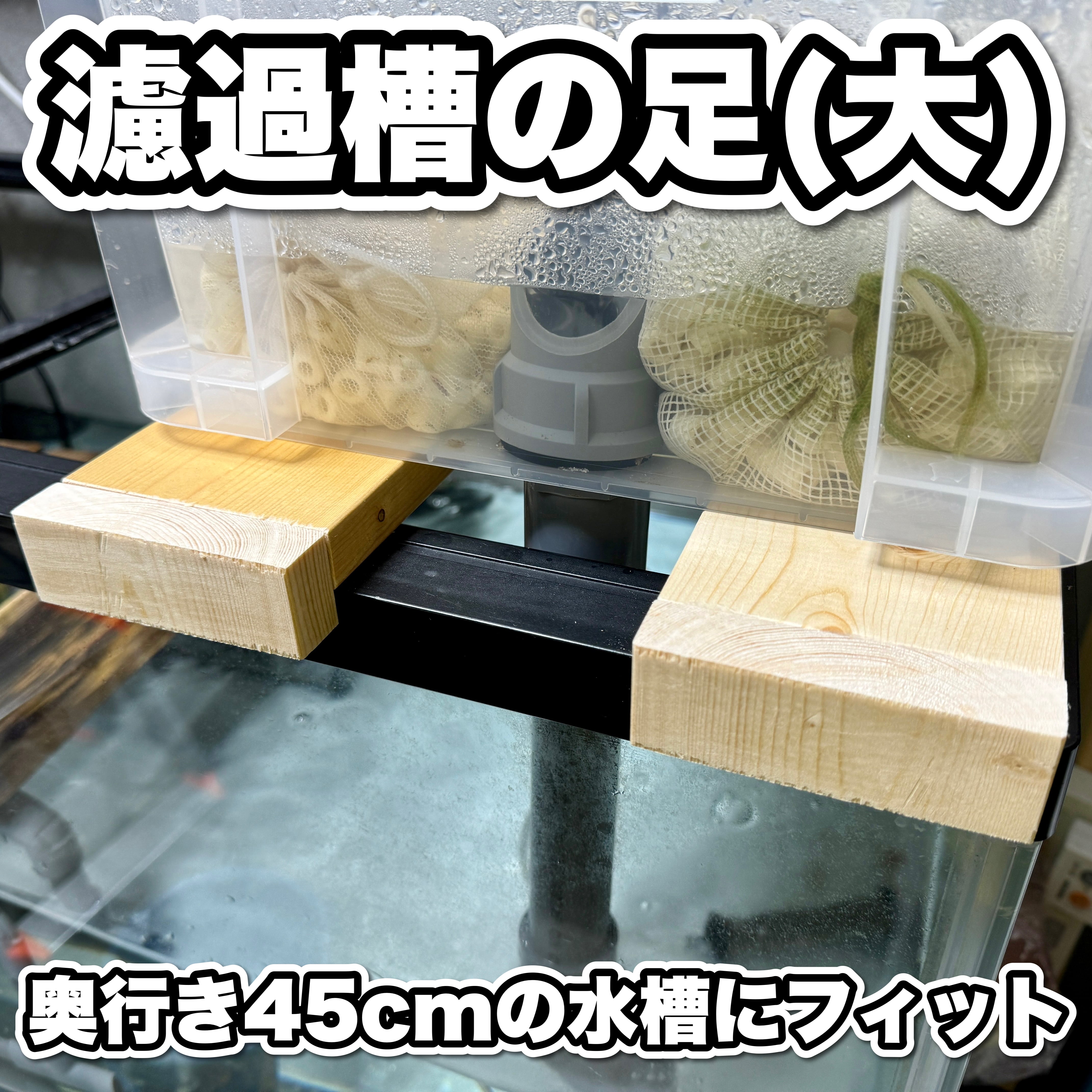 ある様】濾過槽大2＋陸地小