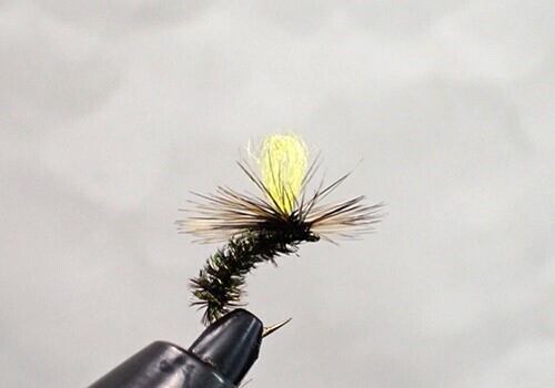 ティムコ グラスマスター 763-4と764-4 | lasthope