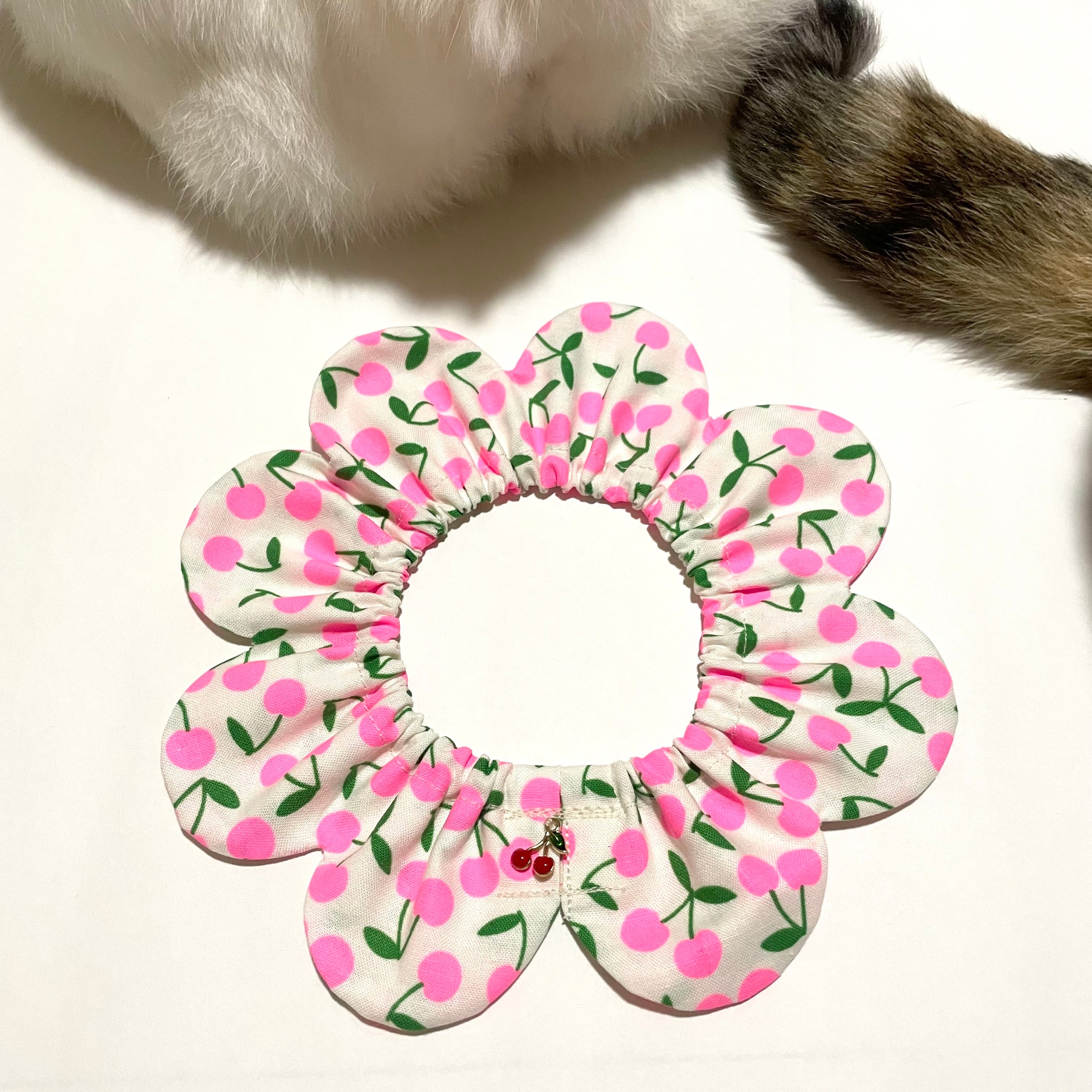 ザビエル首輪 mocoto cat