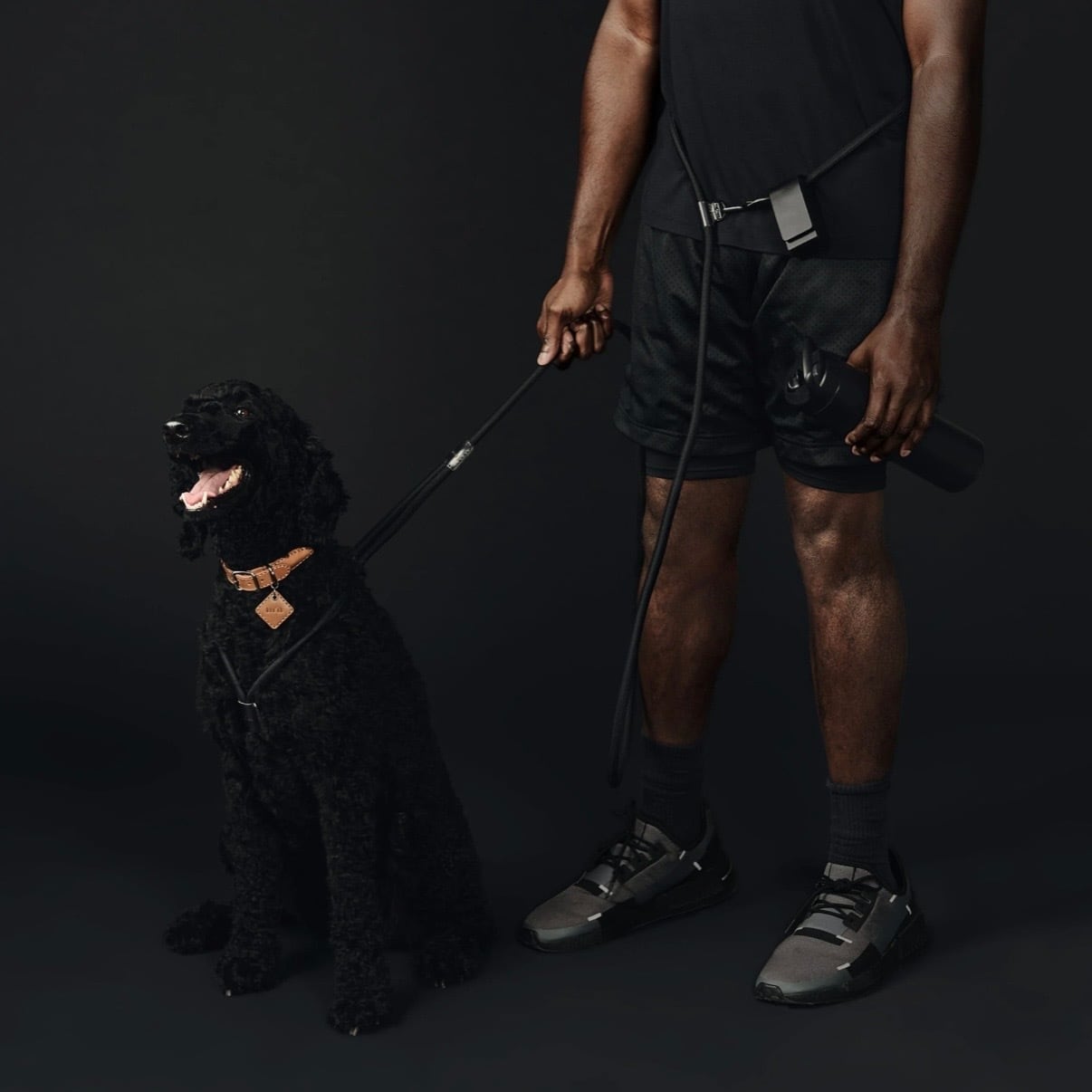 即納【boo'oh】Hands-Free Ray Harness | Black Editon | ropet