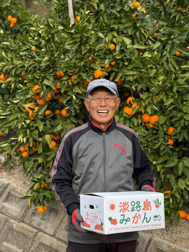 【田口早生みかん  ５KG】発送中