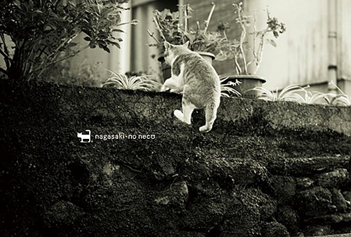 post card 014