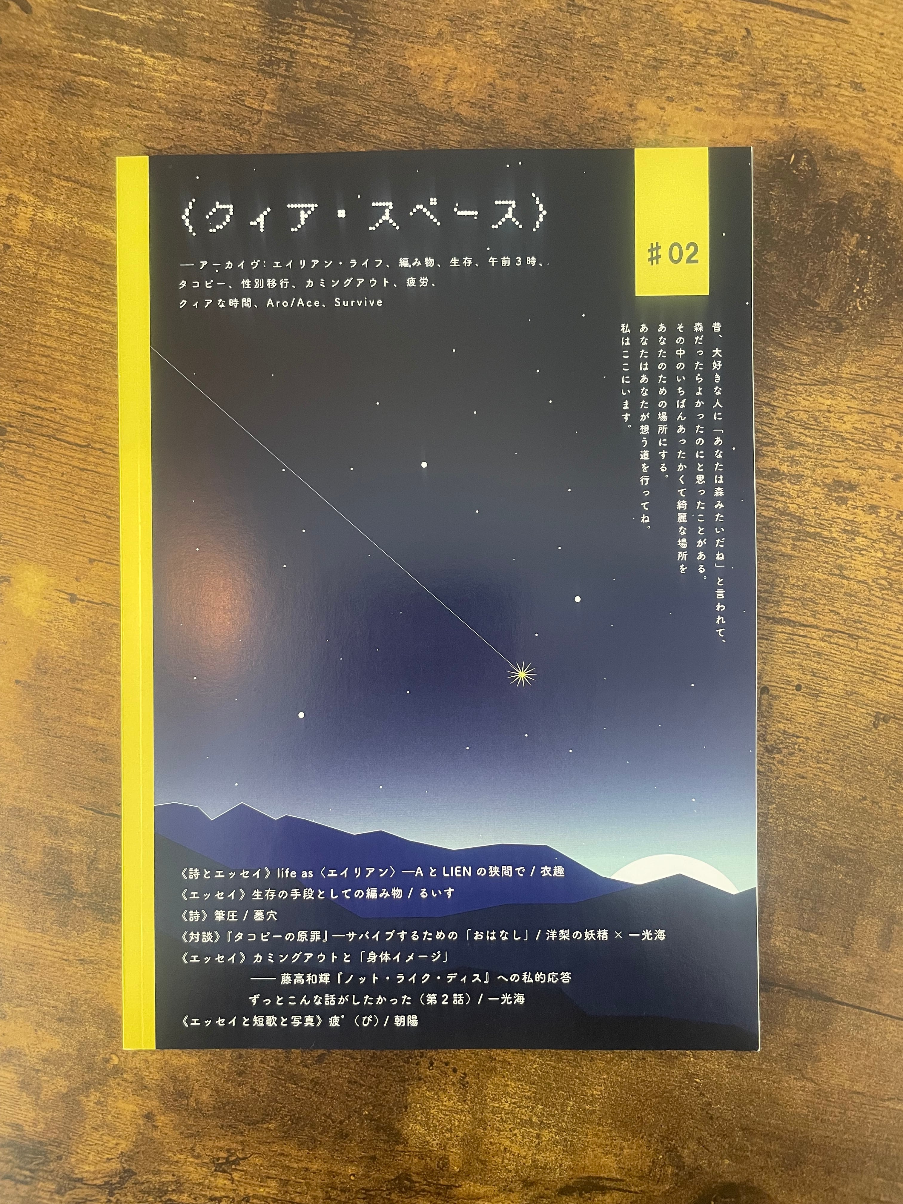 彼女は何を視ているのか』（竹村和子著） | シスターフッド書店 Kanin