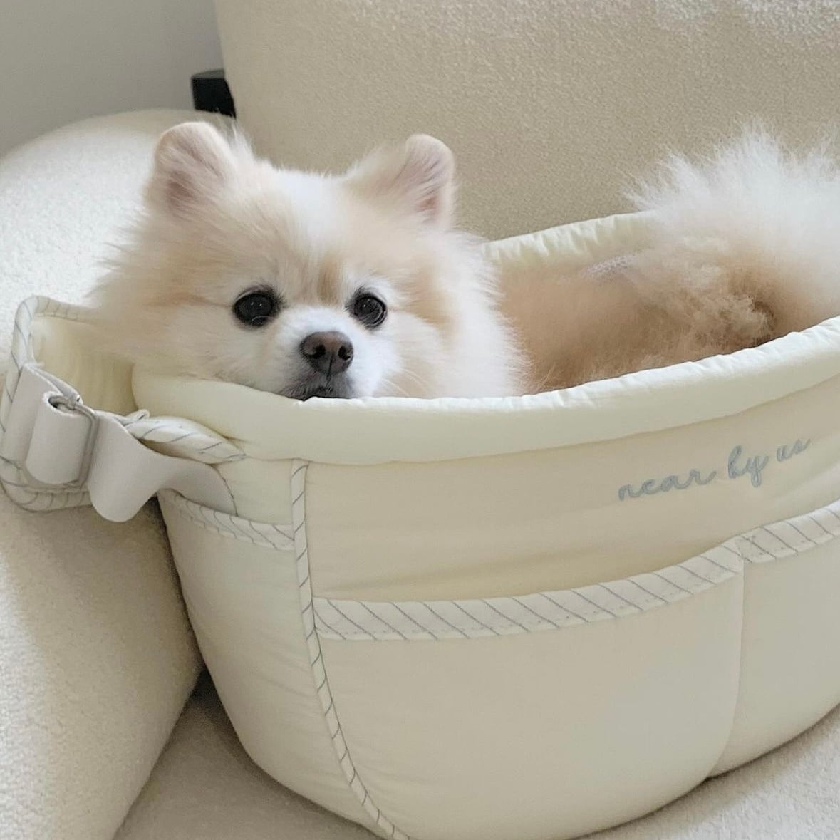即納【near by us】tarte bag (4color) new color | ropet