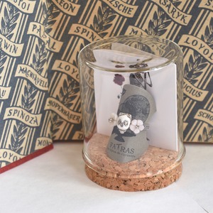 Packaged collection　　Skull
