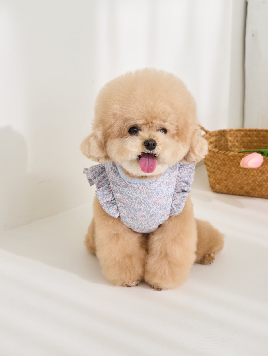 予約【Mabellefifi】Adorable Reversible Poncho Haness (Blue)