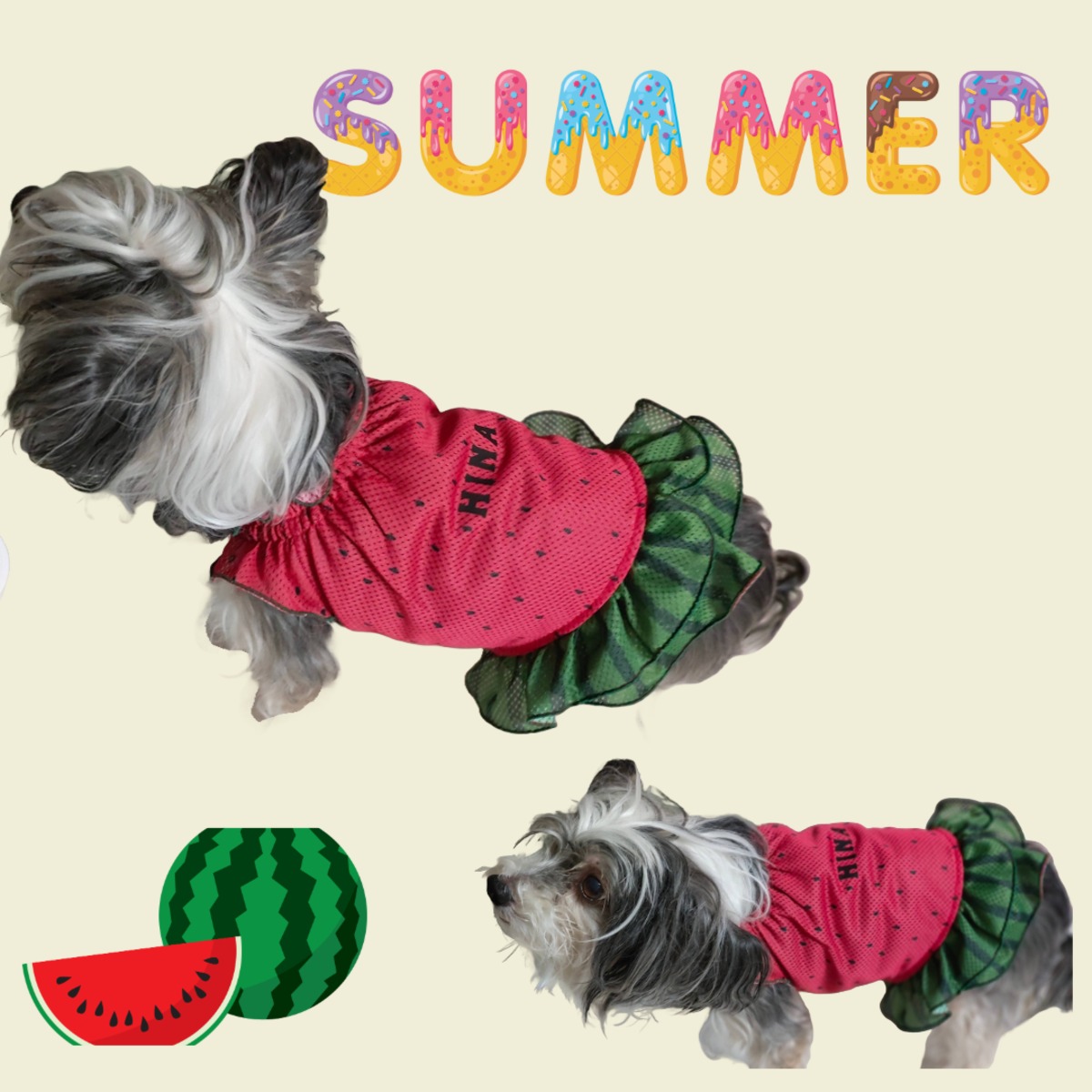 なりきりすいか2024すいかちゃんスモックワンピ/Sサイズ/犬服