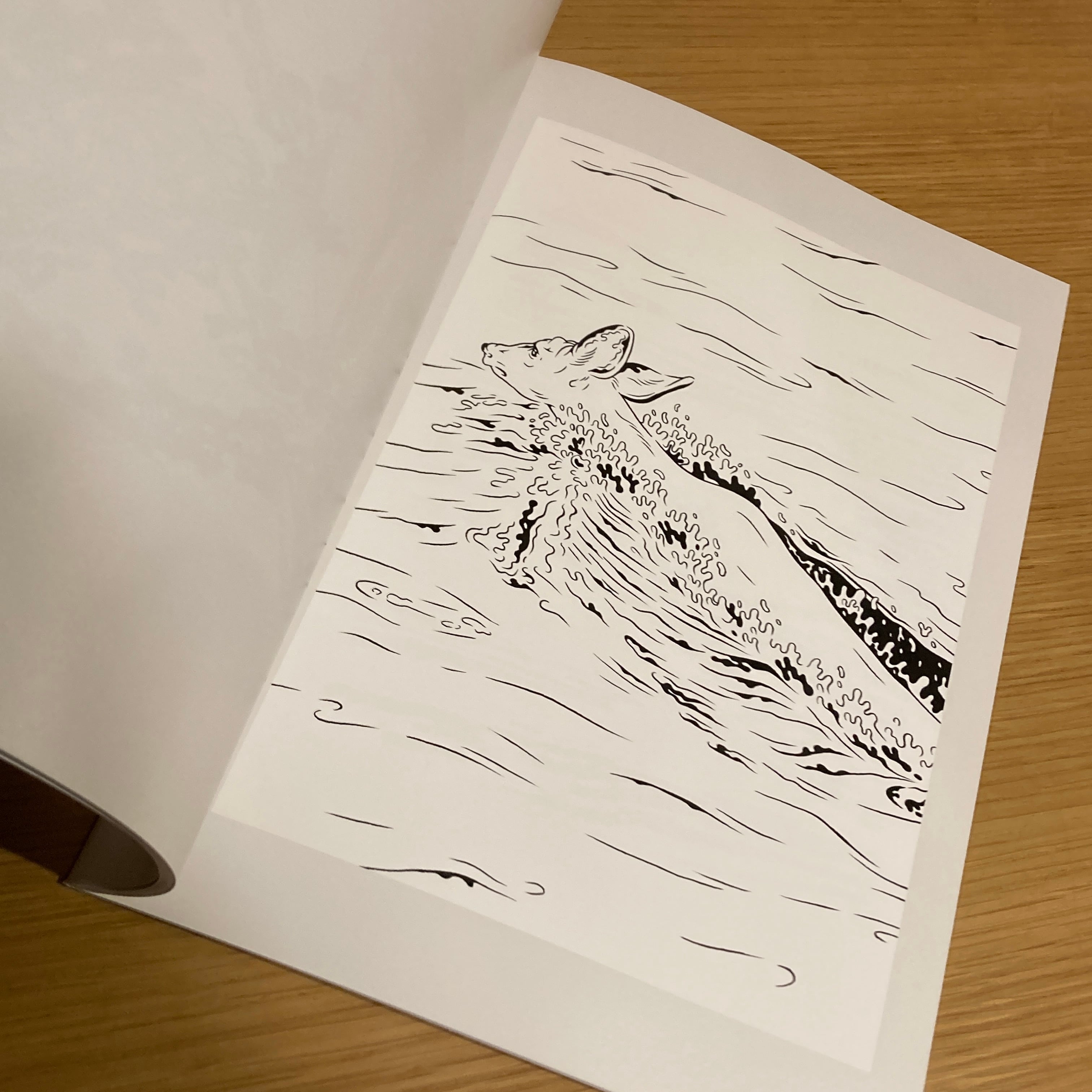 Water / Kiyoshi Kuroda 黒田潔 | 百年