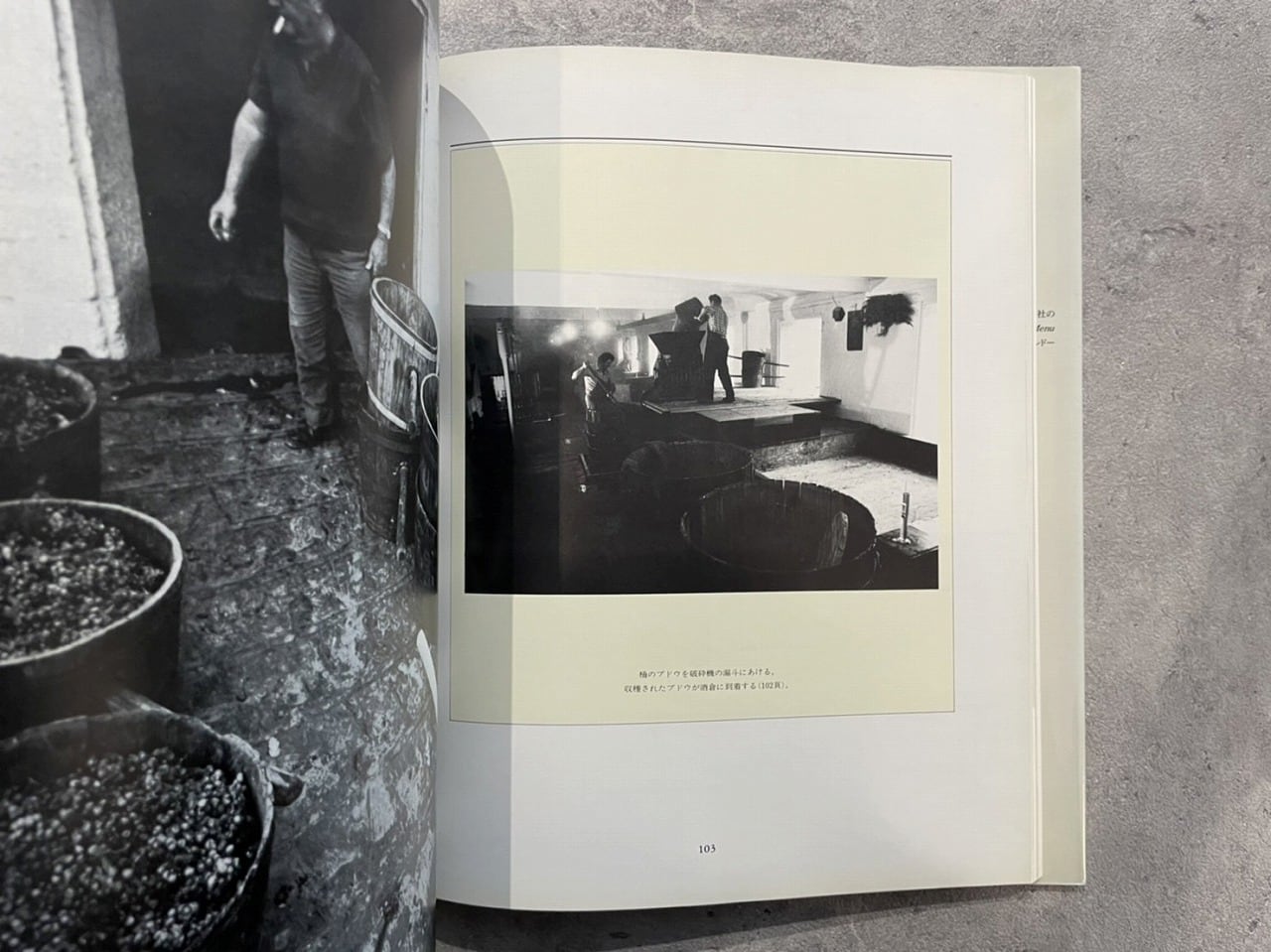 学研　ファンシーロマン　15冊セット　初版あり VC159】YQUEM イケム /visual book | KITAZAWA BOOKSTORE