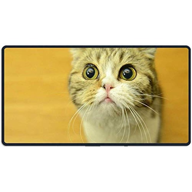 赤城 不祝儀袋 多当 御布施 10枚入り タ983067