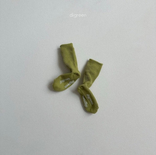digreen /  light green socks (3P set)