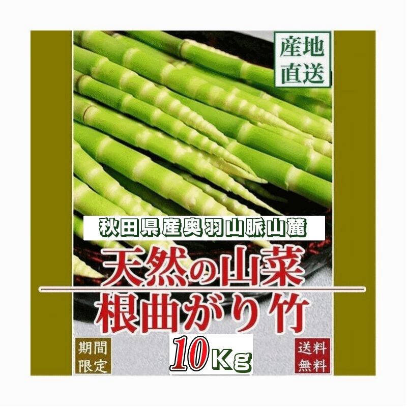 予約】【秋田県産】根曲がり竹10kg【6月8日発送予定】