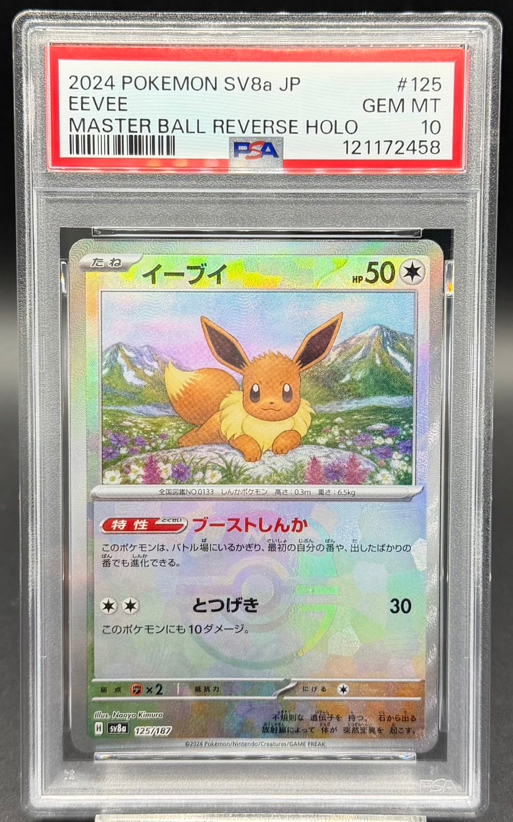 横浜店 PSA10 メガガルーラex SAR [M1S 089/063] | ワンピース