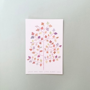 Post Card〈樫の木〉